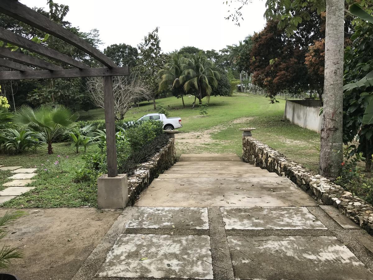 Cabanas Maya Rue Palenque Exterior photo